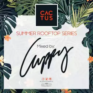 DJ Cuppy - Cactus On The Roof